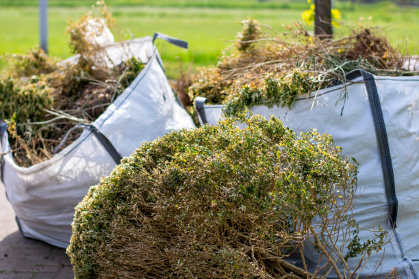 Best Yard Waste Removal  in Fort Lupton, CO